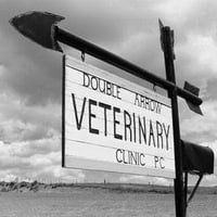 Local Business Double Arrow Veterinary Clinic PC in Enterprise OR