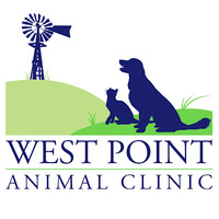 Local Business West Point Animal Clinic in West Point MS