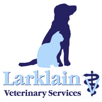 Local Business Larklain Veterinary Services in Berwyn PA