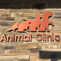 Animal Clinic of Bayonne