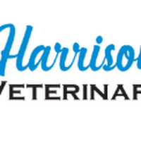 Local Business Harrison Central Veterinary Hospital in Clarksburg WV