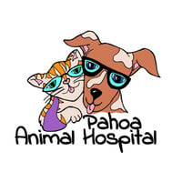 Local Business Pahoa Animal Hospital in Pāhoa HI