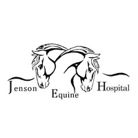 Local Business Jenson Equine Hospital in Sunland Park NM