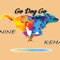 Local Business Go Dog Go in Kirkland WA