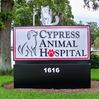 Cypress Animal Hospital