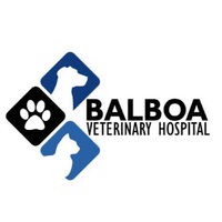 Balboa Veterinary Hospital