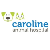 Local Business Caroline Animal Hospital in Milford VA