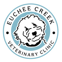 Local Business Euchee Creek Veterinary Clinic in Grovetown GA