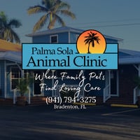 Palma Sola Animal Clinic