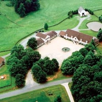 Blue Ridge Equine Clinic