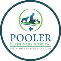 Pooler Veterinary Hospital