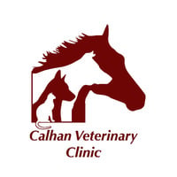 Local Business Calhan Veterinary Clinic in Calhan CO