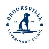 Local Business Brooksville Veterinary Clinic in Brooksville FL