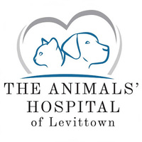 Local Business The Animals' Hospital of Levittown in Levittown PA