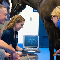 Midwestern University Large Animal Clinic