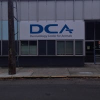 Dermatology Center for Animals