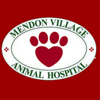 Local Business Mendon Village Animal Hospital in Mendon NY