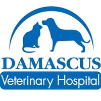 Local Business Damascus Veterinary Hospital in Damascus MD