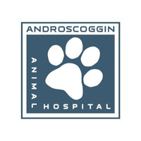 Androscoggin Animal Hospital