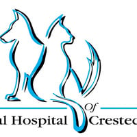 Local Business Animal Hospital-Crested Butte in Crested Butte CO