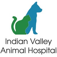 Local Business Indian Valley Animal Hospital in Souderton PA