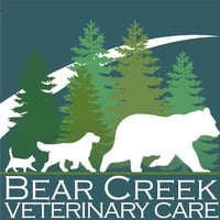 Local Business Bear Creek Veterinary Care in Colorado Springs CO