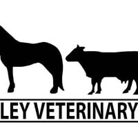 Valley Veterinary Associates