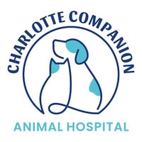 Local Business Charlotte Companion Animal Hospital in Charlotte NC