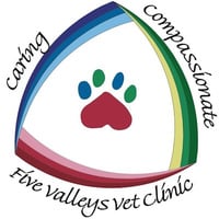 Local Business Five Valleys Veterinary Clinic in Missoula MT