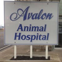 Avalon Animal Hospital