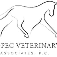 Kopec Veterinary Associates, P.C.