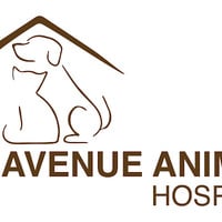 Local Business Avenue Animal Hospital in Tinley Park IL