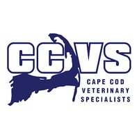 Cape Cod Veterinary Specialists