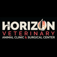 Horizon Veterinary | Animal Clinic & Surgical Center