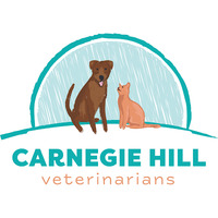 Carnegie Hill Veterinarians