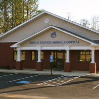 Local Business Smiths Station Animal Hospital: Dr. Steve Griffin in Smiths Station AL