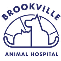 Local Business Brookville Animal Hospital in Bolingbrook IL