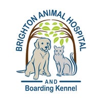 Brighton Animal Hospital, PC