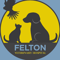 Local Business Felton Veterinary Hospital in Felton CA