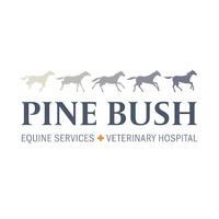 Local Business Pine Bush Equine Services and Veterinary Hospital in Pine Bush NY