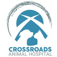 Local Business Crossroads Animal Hospital in Crown Point IN