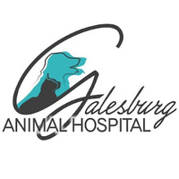 Local Business Galesburg Animal Hospital PC in Galesburg IL