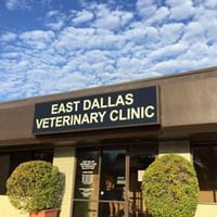 Local Business East Dallas Veterinary Clinic in Dallas TX