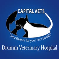 Local Business Drumm Veterinary Hospital in Castleton-On-Hudson NY