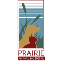 Local Business Prairie Animal Hospital in Peoria IL