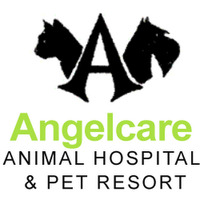 Angelcare Animal Hospital & Pet Resort Inc.