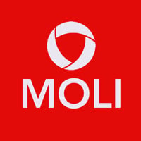 Local Business MOLI Consulting LLC in McLean VA