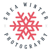 Local Business Shea Winter Photography in Phoenixville PA