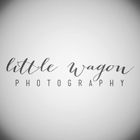 Local Business Little Wagon Photography in Hamptonville NC