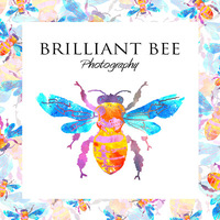 Local Business Brilliant Bee Photography LLC in Fox Lake IL